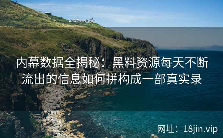 内幕数据全揭秘：黑料资源每天不断流出的信息如何拼构成一部真实录