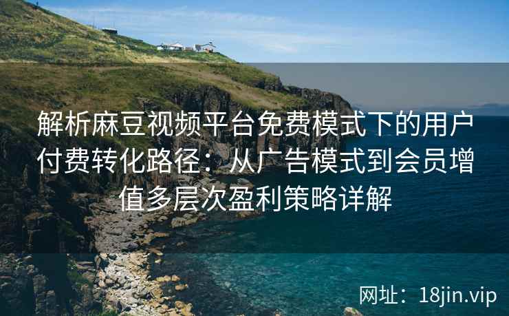 解析麻豆视频平台免费模式下的用户付费转化路径：从广告模式到会员增值多层次盈利策略详解