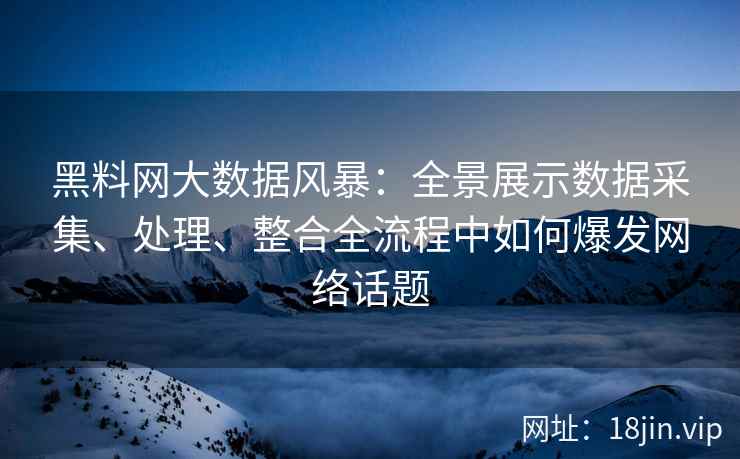 黑料网大数据风暴：全景展示数据采集、处理、整合全流程中如何爆发网络话题
